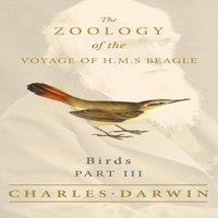 Charles Darwin Birds - Part III - The Zoology of the Voyage of H.M.S Beagle