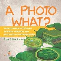 Baby Professor A Photo What? Photosynthesis Explained Process, Products and