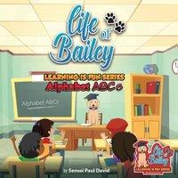 Sensei Paul David Life of Bailey School Learning Is Fun Series Alphabet ABC'S
