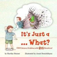 Hartley Steiner It's Just a ... What?: Little Sensory Problems with Big Reactions