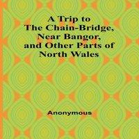 Anonymous A Trip to the Chain-Bridge, Near Bangor, & Other Parts of North