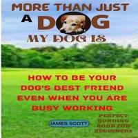 James Scott MORE THAN JUST A DOG MY DOG IS: HOW TO BE YOUR DOG'S BEST FRIEND