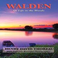 Henry David Thoreau Walden (Illustrated Edition): Reflections on Simple Living & the