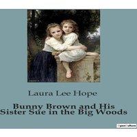 Laura Lee Hope Bunny Brown & His Sister Sue in the Big Woods:Adventures in the