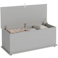 NESTLUNE Storage Chest With Lid, 113L Storage Box, Grey