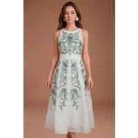 Coast Women's Embroidered High Neck Panel Detailed Midi Dress in Light Blue | Size: 12