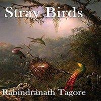 Rabindranath Tagore Stray Birds: A Collection of Short Reflections on Nature, Thought