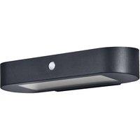 Osram Endura Style Oval Outdoor Solar Wall LED Light Sensor 6W 550lm IP44 in Black