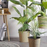 Wyld and Coco Areca Palm Artificial 124 cm - Green Cement Base