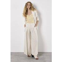 Apricot Women's Pinstripe Pleat Palazzo Trousers in Stone | Size: 14