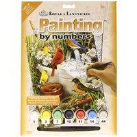 Royal Brush Paint By Number Junior Small Garden Birds Art Set