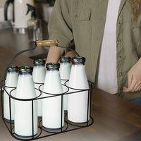 EONLION Metal 6 Milk Bottle Holder in Black | Size: 100 cm