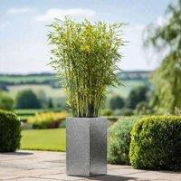 Woven Wood 75cm Zinc Silver & Black Textured Tall Square Planter