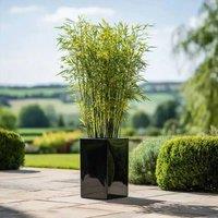 Woven Wood 50cm Zinc Platinum Black Tall Square Planter