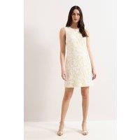 Phase Eight Women's Bryony Sleeveless Lace Mini Dress in Warm White | Size: 18