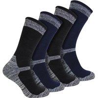 Sock Snob 