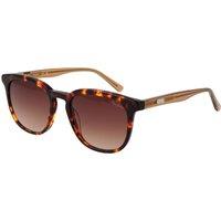Pepe Jeans Men's PJ7434 52010 Square/Rectangle Sunglasses in Brown