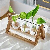 Living and Home Modern 3pcs Bulb Glass Terrariums with Wood Stand Set in Brown