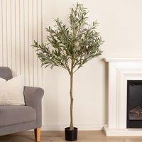 Scottish Everlastings Ltd 165cm Olive Tree in Green