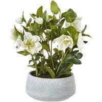 Lemon Pavilion Furniture and Decor Hellebore Plant in Pot - Plastic - L33 x W38 x H41 cm - White/Grey in Grey