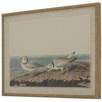 Lemon Pavilion Furniture and Decor Flora & Fauna Collection Plovers on Linen in Beaded Frame in Brown