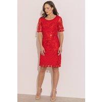 Klass. Women's Cornelli Sequin Mesh Shift Dress in Red | Size: 10