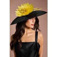 Coast Women's Lisa Tan Feather & Quill Detail Wide Brim Hat in Black