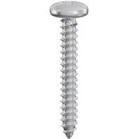 Picardy Pan Self Tapping Screws (Pack of 200) in Silver