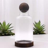 KDMD Large Ball Top Terarium on Dark Tung Wood in Brown