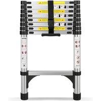 Alivio 2.6M Heavy Duty Telescopic Extension Ladder, 150kg Capacity in Silver