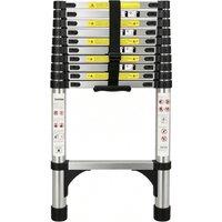 Alivio 3.2M Heavy Duty Telescopic Extension Ladder, 150kg Capacity in Silver