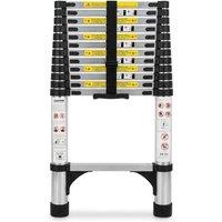 Alivio 3.8M Heavy Duty Telescopic Extension Ladder, 150kg Capacity in Silver