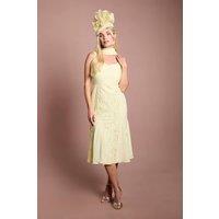 Coast Women's Petite Lisa Tan Scarf Detail Lace Maxi Dress With Godets in Lemon | Size: 12