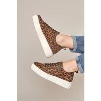 Moshulu Women's 'Dawlish' Flatform Zip Trainers in Brown | Size: 6
