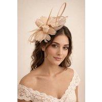 SVNX Women's Floral Feather Fascinator with Loops in Nude