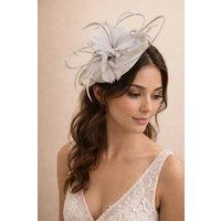 SVNX Women's Floral Feather Fascinator with Loops in Grey