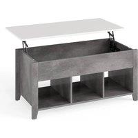 VOGREX Grey Lift Top Coffee Table with 3 Storage Cubes