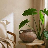 Wyld Haus Meadowhaze Pelike Brown Stoneware Vase with Handles
