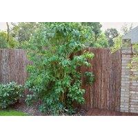 Primrose Natural Bark Privacy Screening Roll Garden Fence 4m x 1.5m in Brown