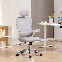 HOMCOM High Back Mesh Computer Desk Chair with Lumbar Support, Grey