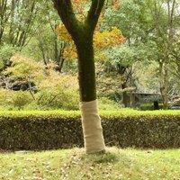 Berkfield Home Jute Roll 1x25 m 100% Jute 200 gsm