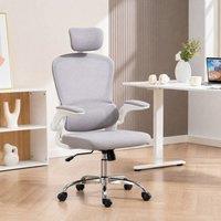 STILVORA Ergonomic Office Chair with Lumbar Support & Headrest in Grey