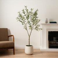 Scottish Everlastings Ltd 150cm KD Olive Tree in Cream Pot in Green