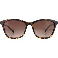 Ted Baker Women's Square Havana Brown Gradient TB1440 Tari Sunglasses