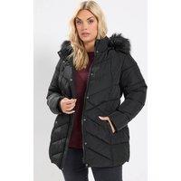 Yours Women's Short Padded Coat in Black | Size: 22-24