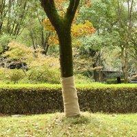 Berkfield Home Jute Roll 1x5 m 100% Jute 200 gsm