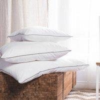 Wyld and Coco Set of 2 Bed Pillows 50 x 60 cm Japara Cotton Cover Microfibre Filling in White