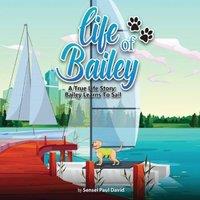 Sensei Paul David Life of Bailey: A True Life Story: Bailey Learns To Sail Paperback