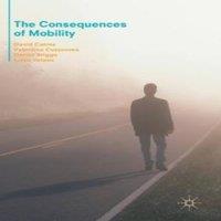 David Cairns The Consequences of Mobility : Reflexivity, Social Inequality and