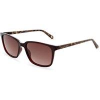 Ted Baker Men's Farley Sunglasses in Wine